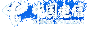中国电信 CHINA TELECOM